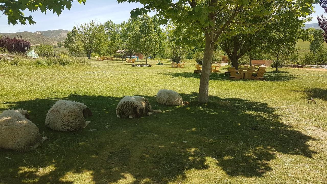 Ferme D’hôte La Vallée Azrou Exterior foto